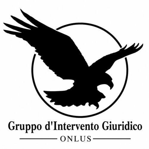 Gruppo di intervento giuridico