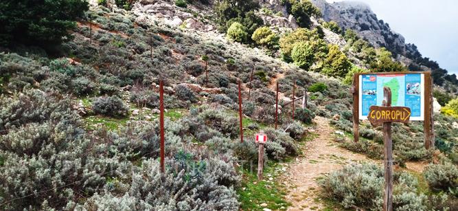 Accesso alla strada per Gorroppu, Passo Silana, Urzulei