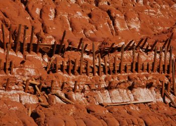 Gli strati del suolo: quali sono e come si formano