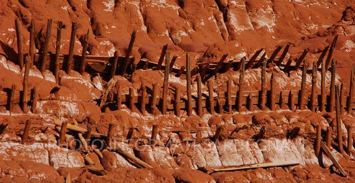 Gli strati del suolo: quali sono e come si formano