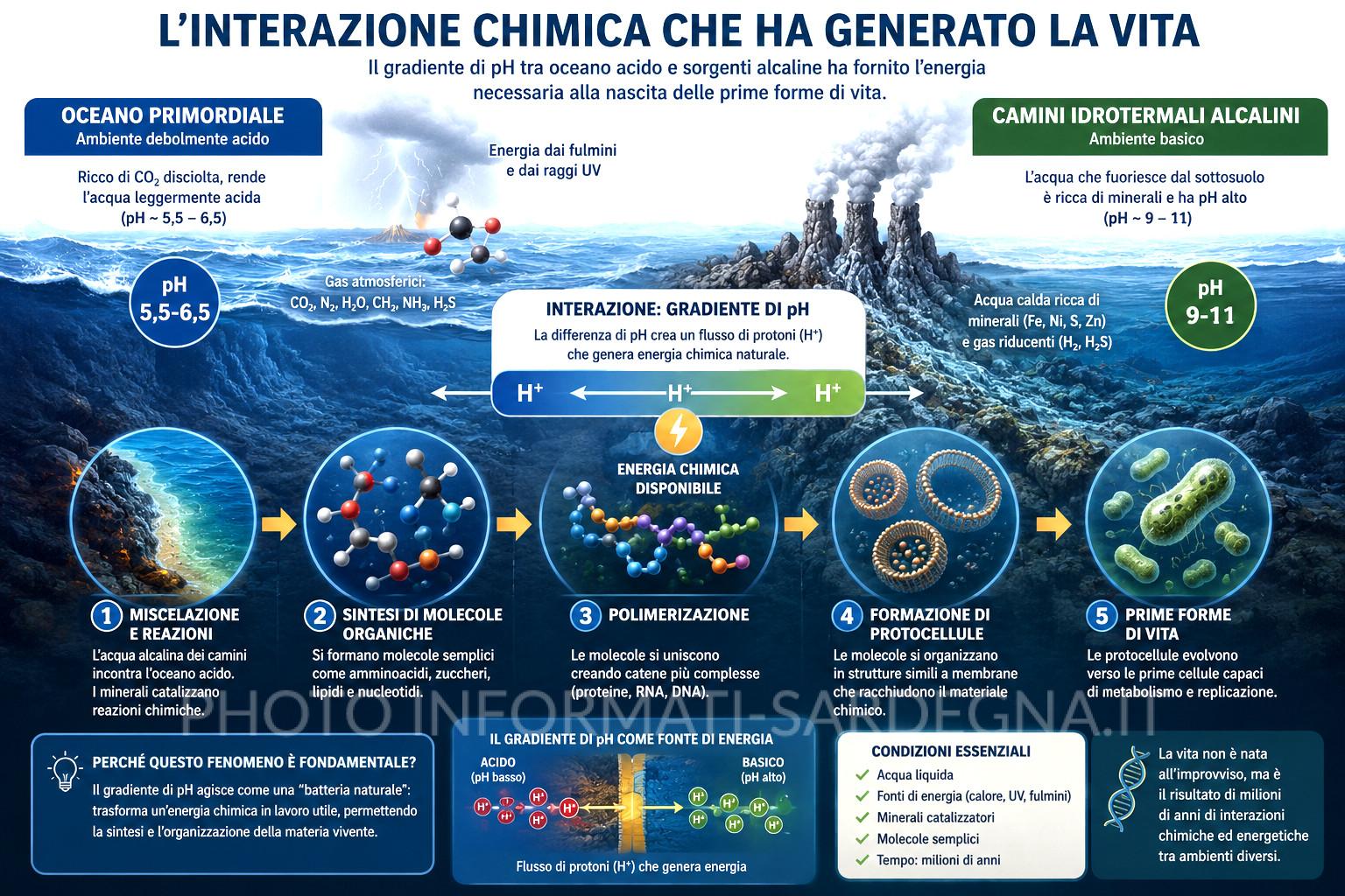 Interazione Acido Base