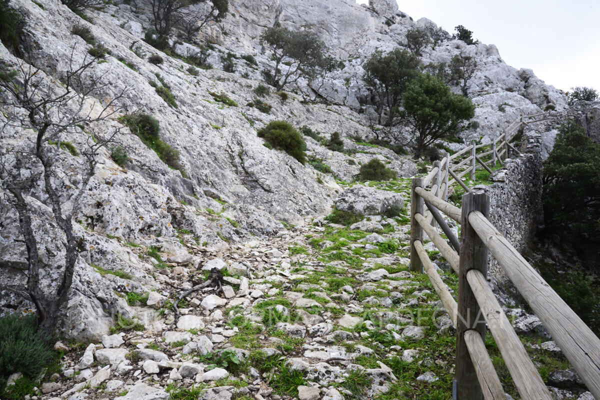 Il ciottolato della scala. Dorgali