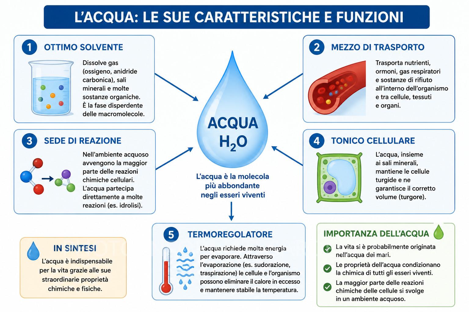 L'ACQUA