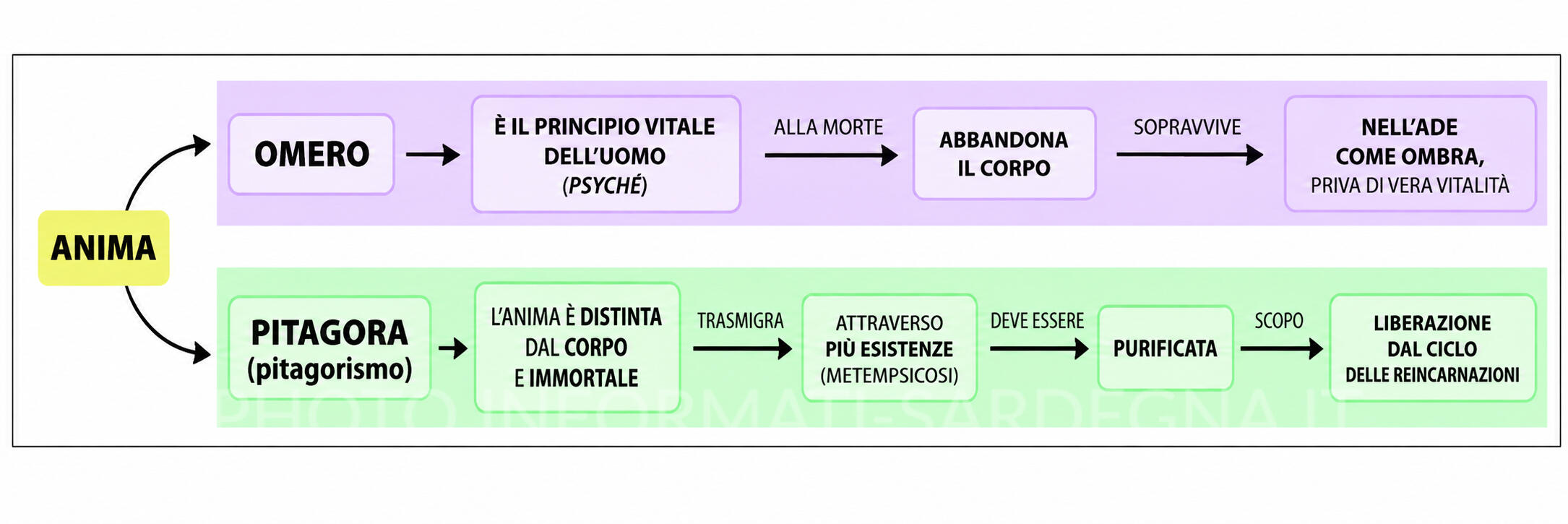 L'ANIMA DI PITAGORA