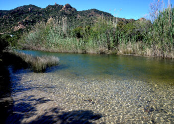 Rio Bau Lispedda a Cardedu