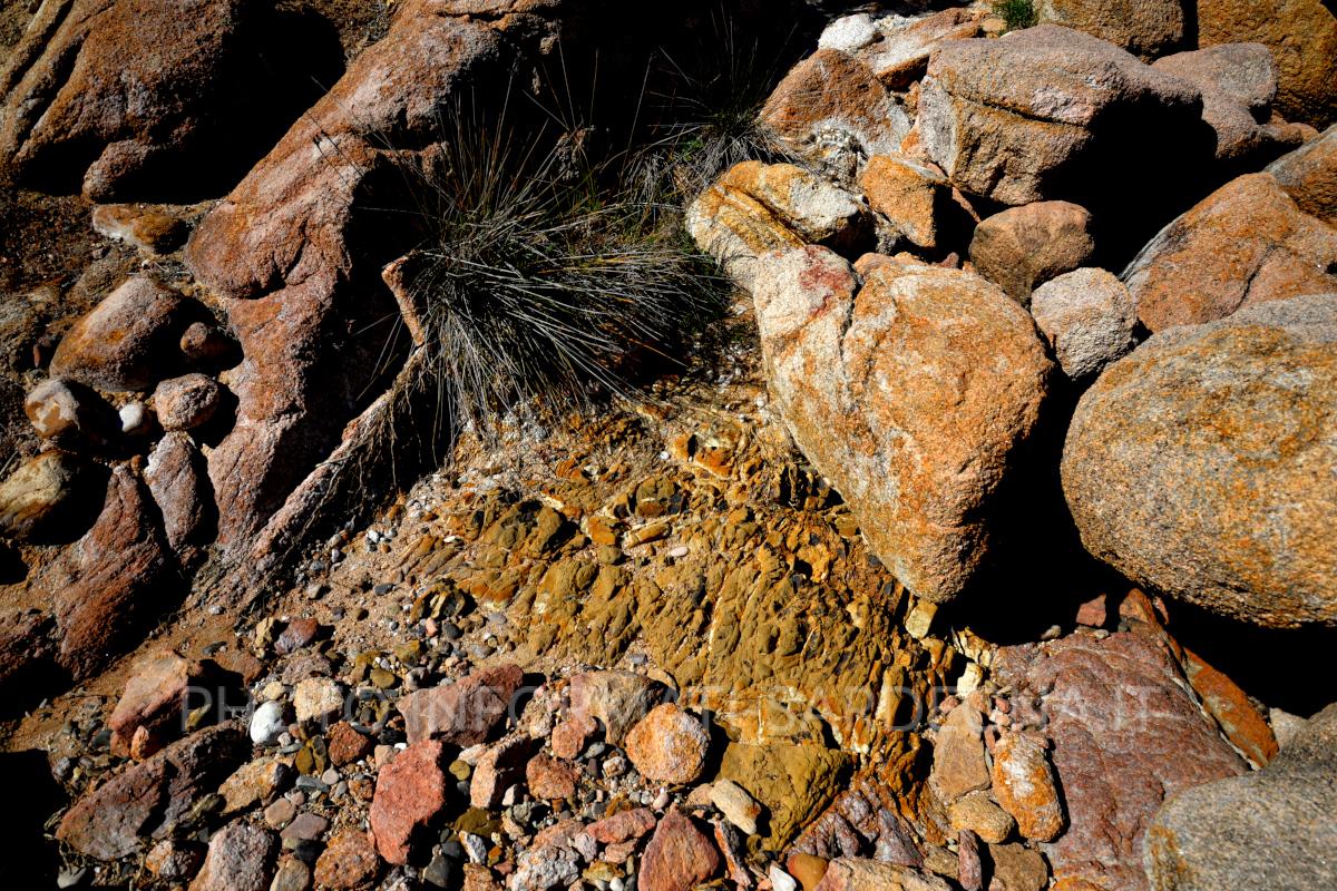 Filoni di barite presso la Spiaggetta di Baccu 'e Praidas. Cardedu 
