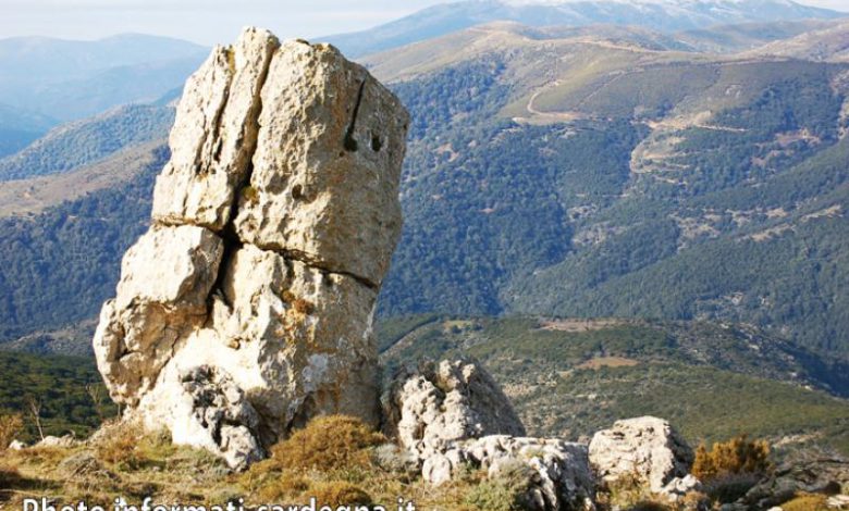 La foresta di Montarbu