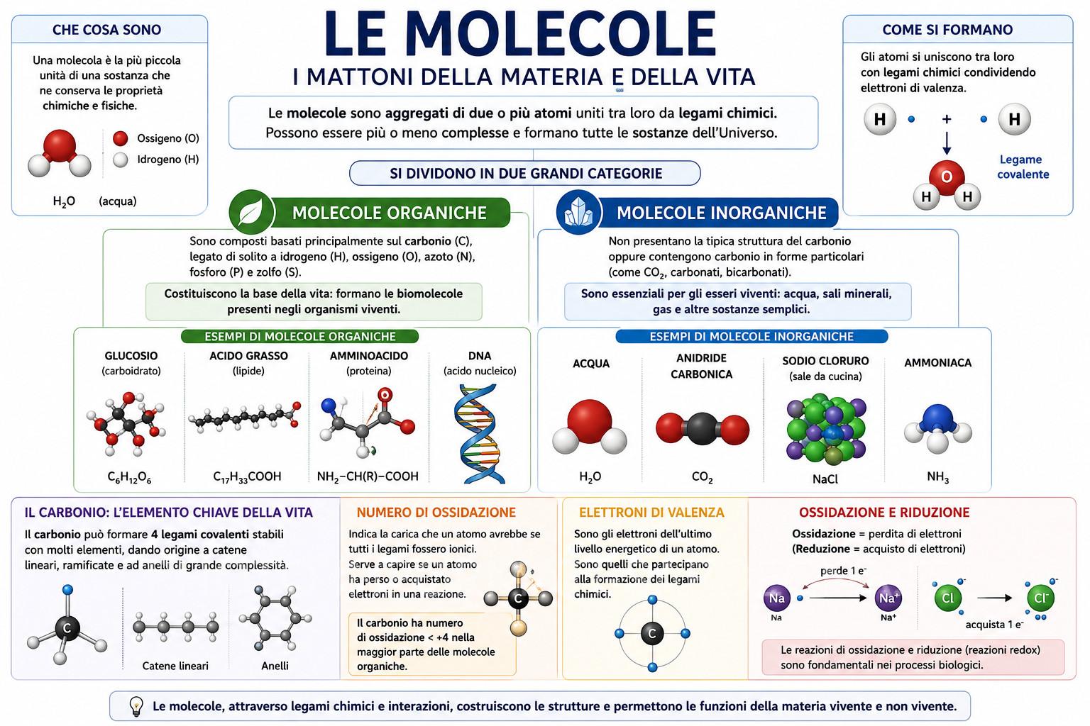 Le molecole