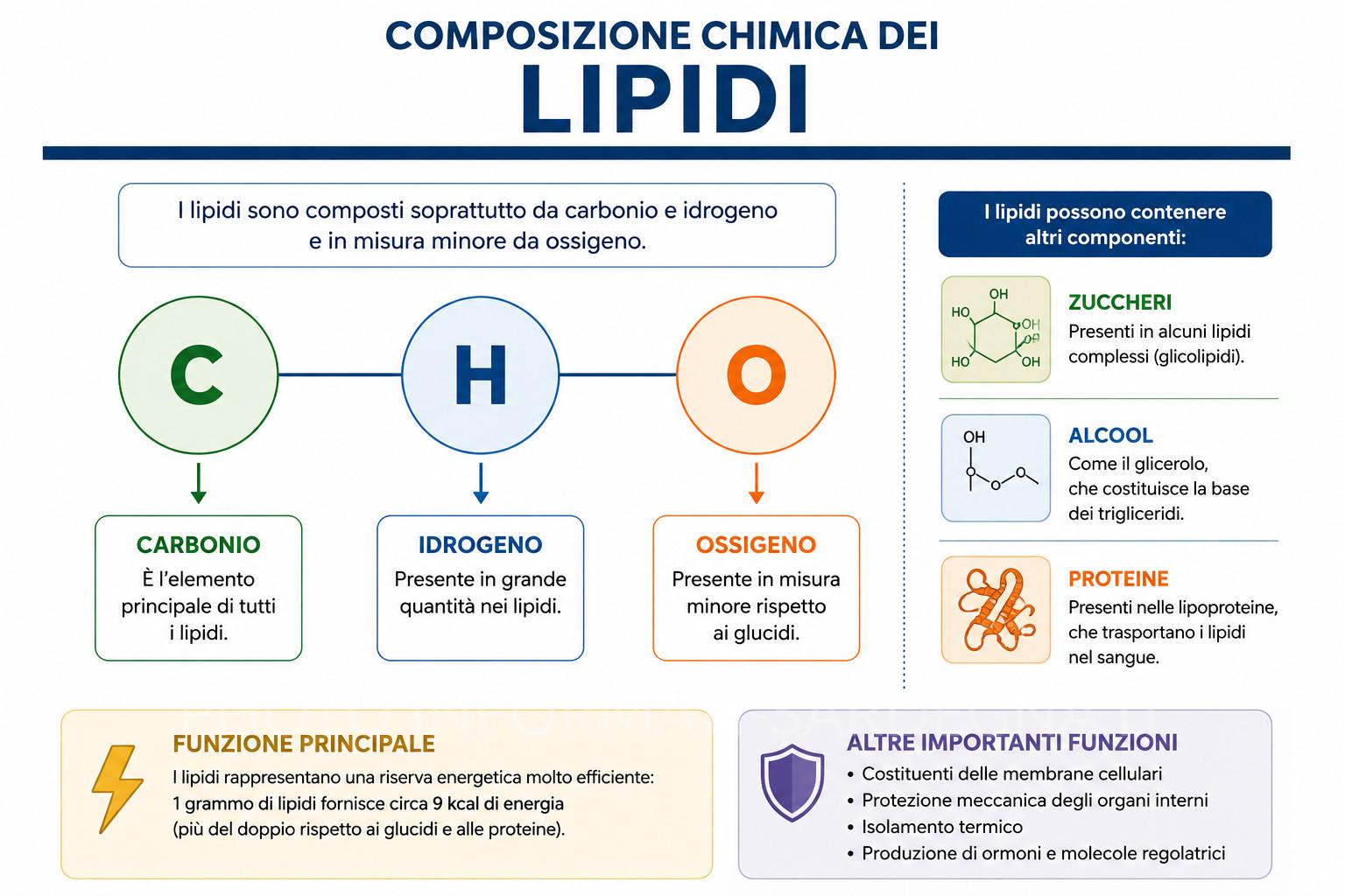 Lipidi