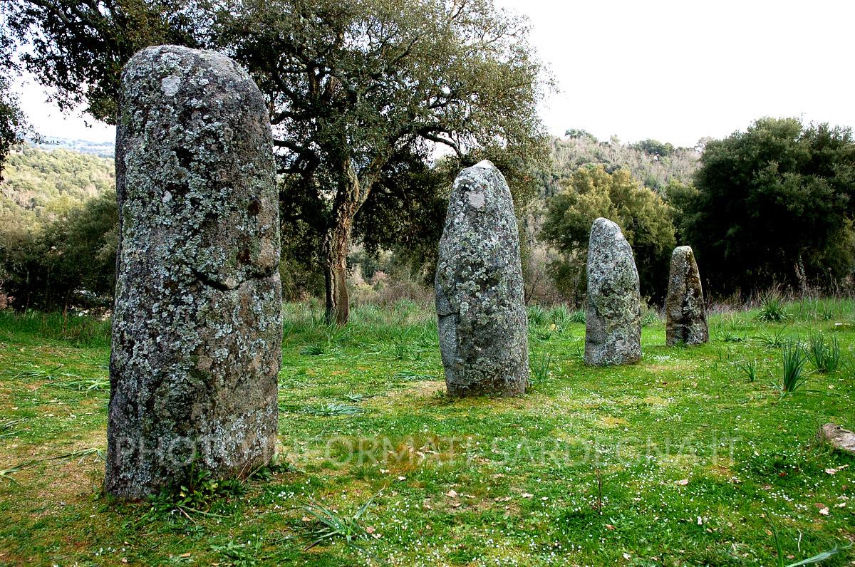 Biru ‘e Concas, i menhir del Mandrolisai