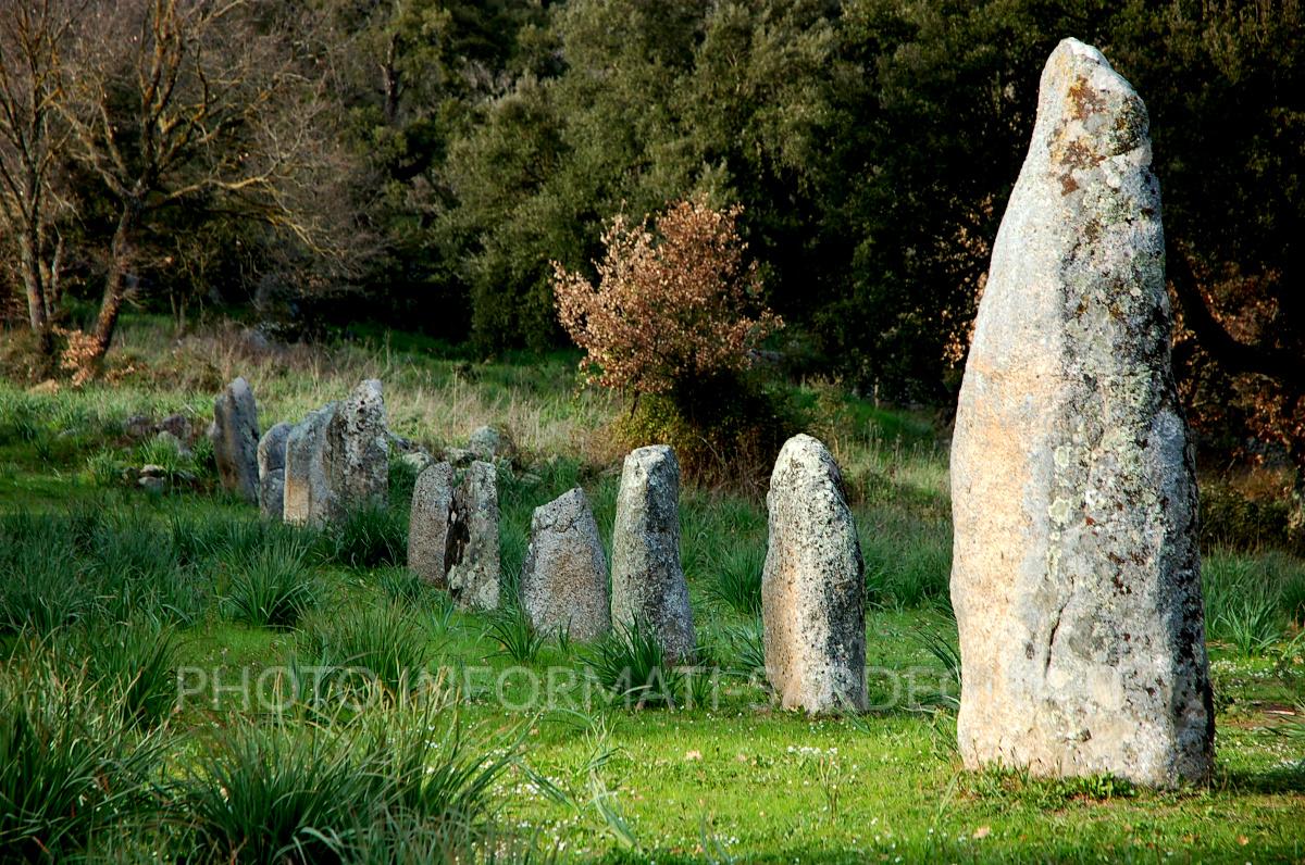 Biru ‘e Concas, i menhir del Mandrolisai