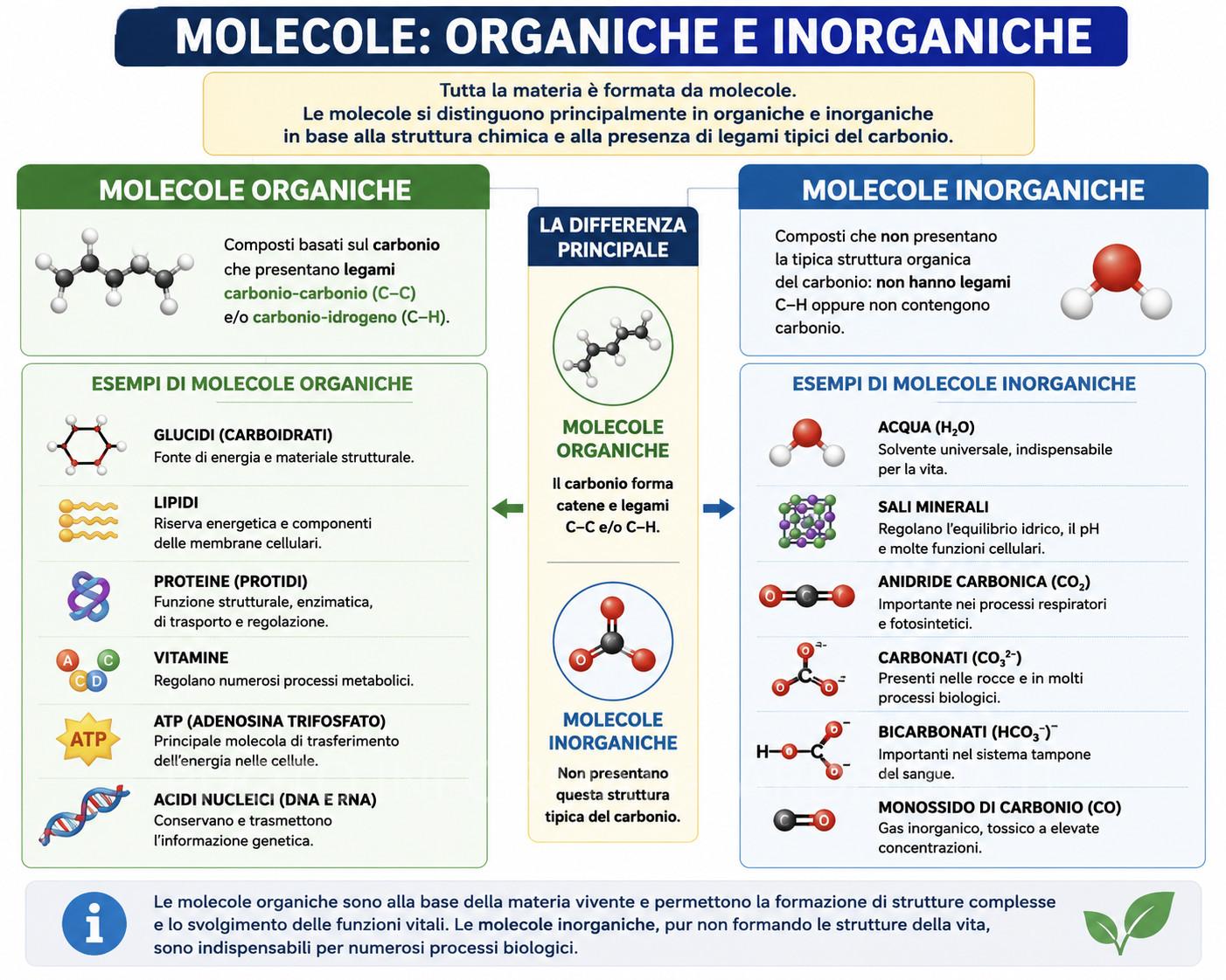 Molecole organiche e inorganiche