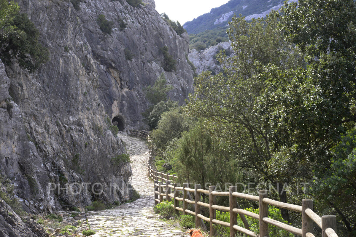 L'imbocco della Galaria Etza visto dalla Iscala 'e Omines sul versante di Dorgali