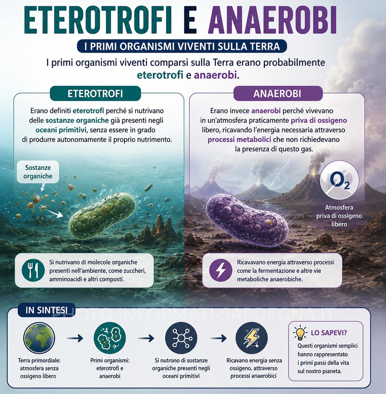 Organismi autotrofi ed eterotrofi