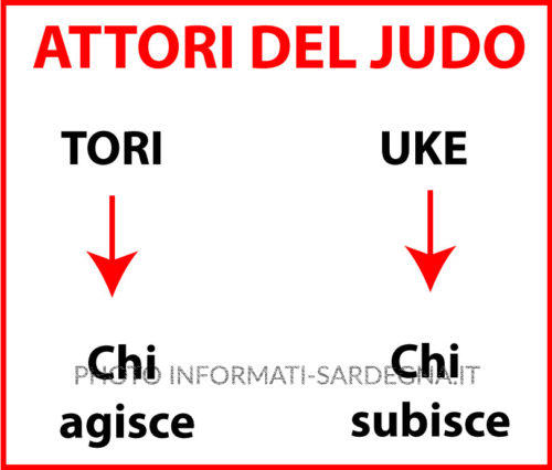 Parti del judo