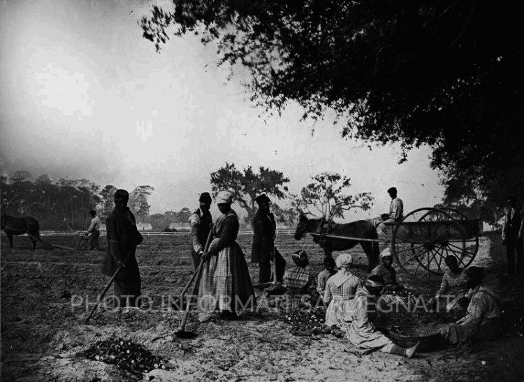 La schiavitù moderna fu dovuta a ragioni economiche, non razziali