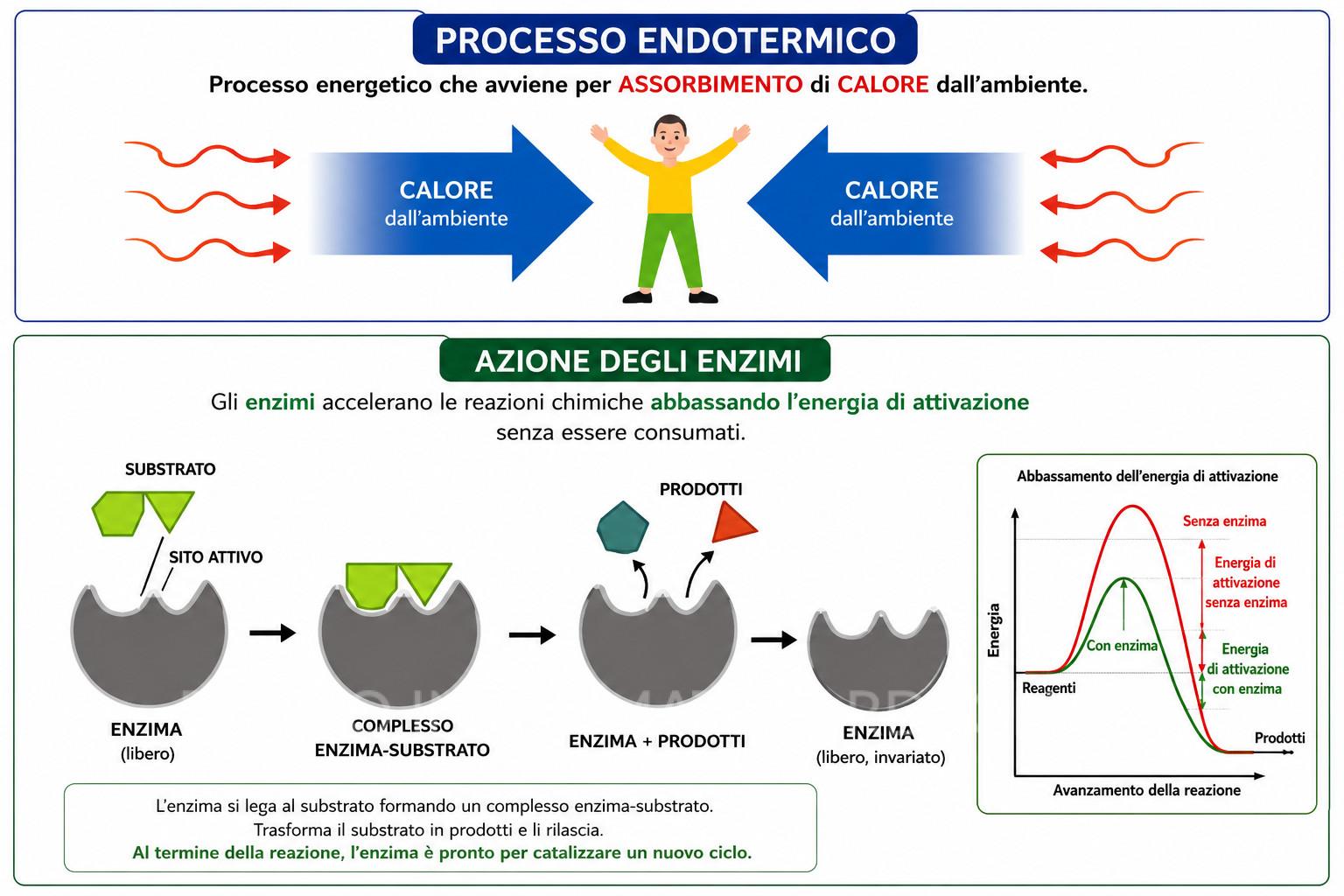 Processo endotermico