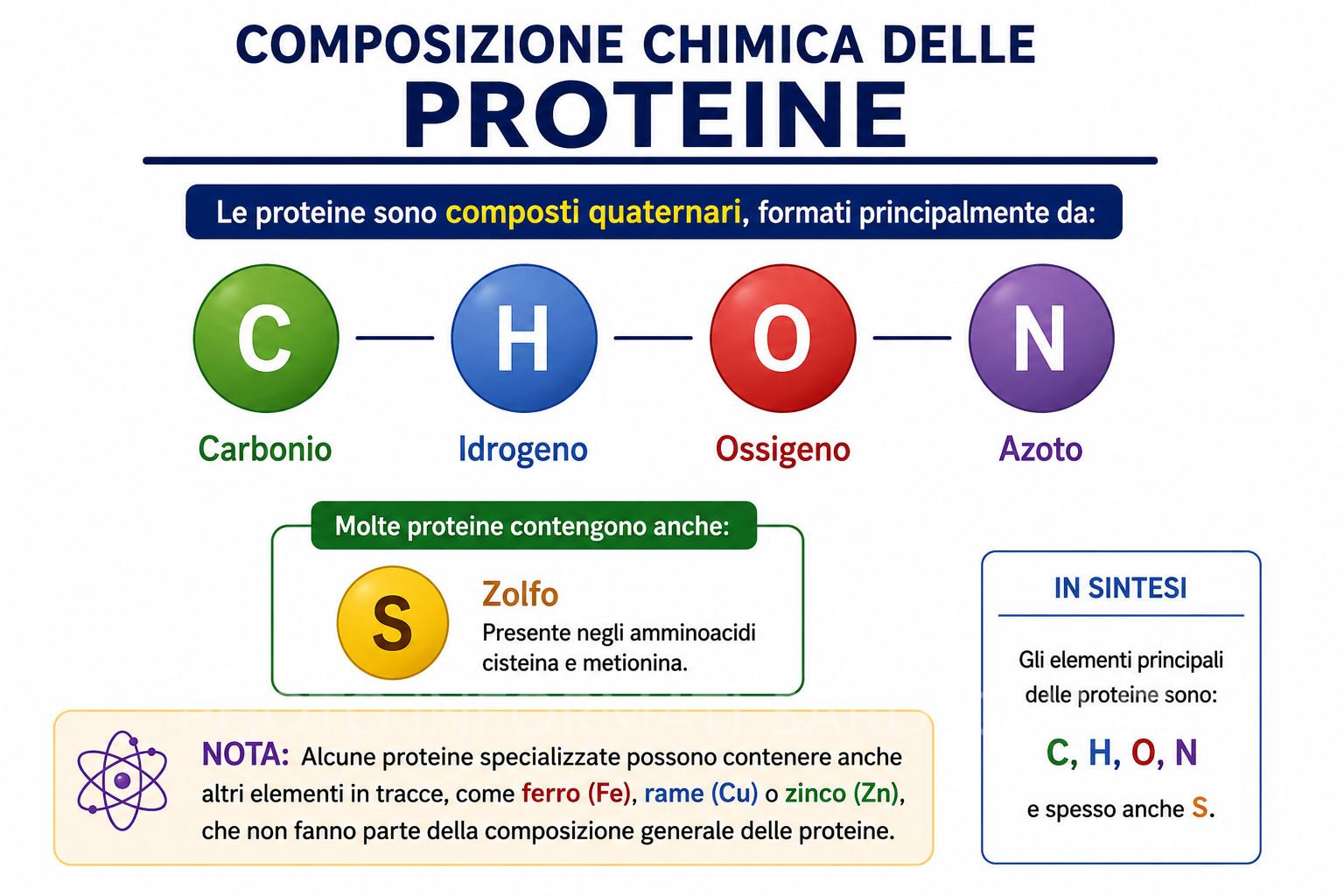 Proteine