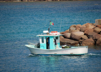 Patente Nautica in Italia