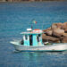 Patente Nautica in Italia