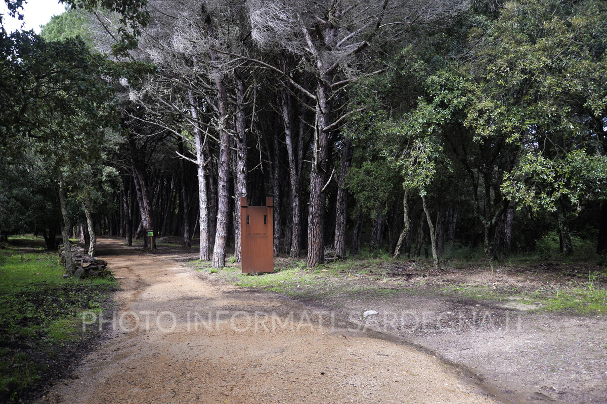 Ingresso al Bosco da fiaba di Pau