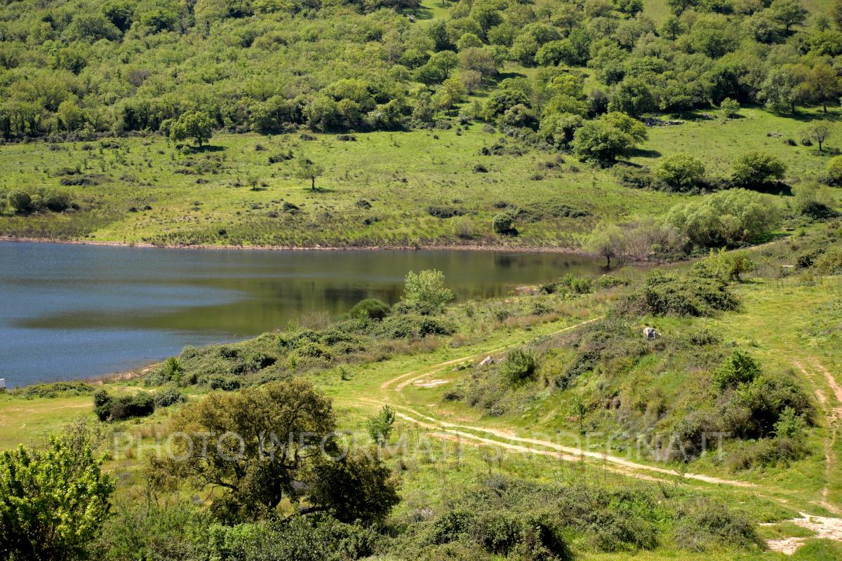 Paesaggio attorno al bacino. Pattada