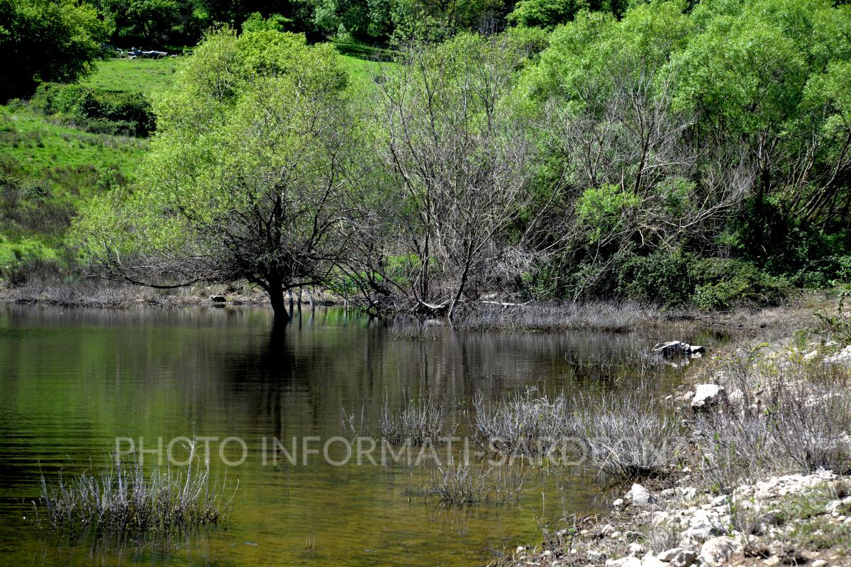 Vegetazione lacustre e macchia mediterranea. Pattada