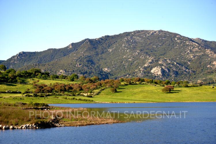 Lago Lerno, Pattada