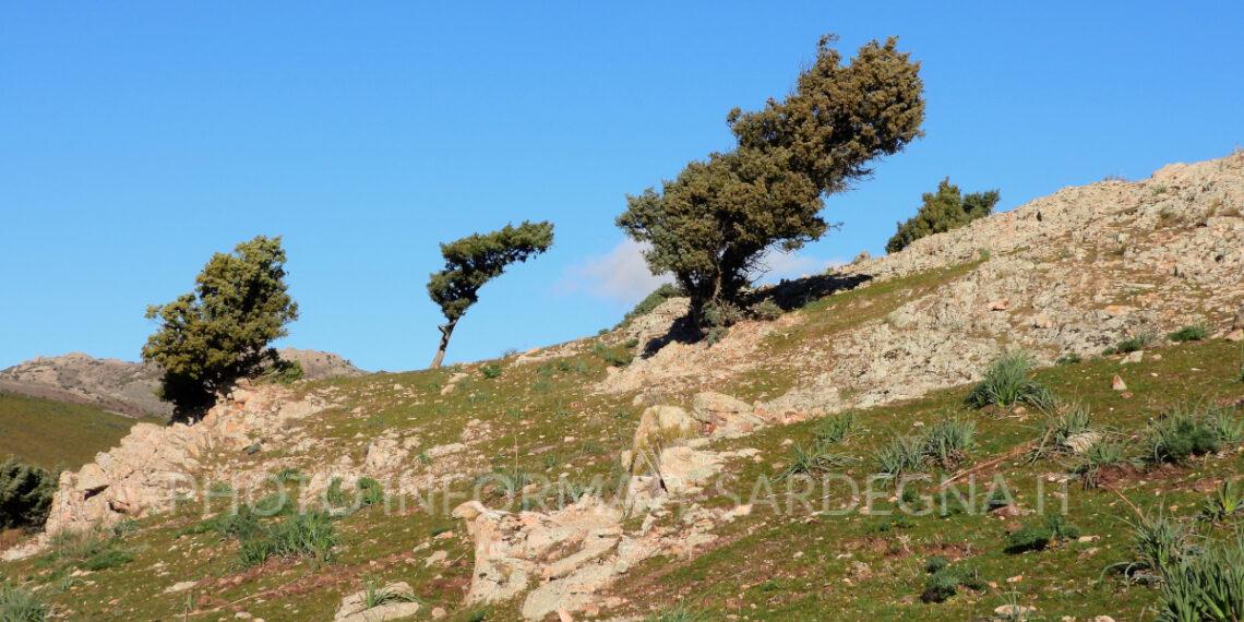 Rosa Maria Dore, la fotografia naturalistica tra Gennargentu e Ogliastra: Arzana
