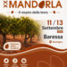 Programma della Sagra della Mandorla 2026 a Baressa