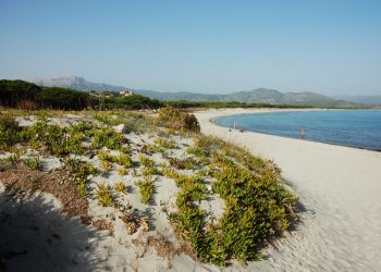 Santa Lucia di Siniscola