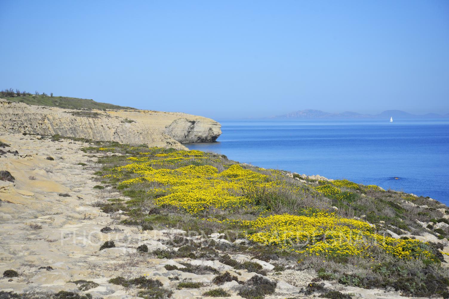 Paesaggio costiero nei pressi dello Scoglio lungo