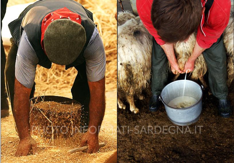Pastori e agricoltori: categorie storicamente in conflitto