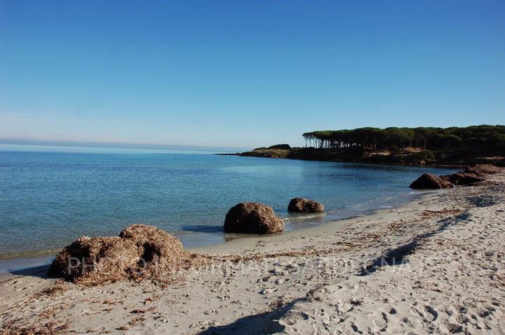 Spiaggia di Baia Sant'Anna, Tanaunella, Budoni