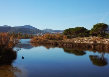 Stagno di Sant'Anna