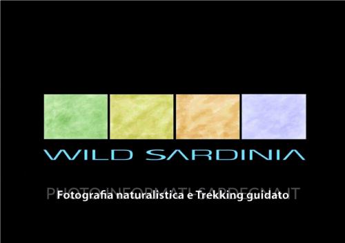 Wildsardinia