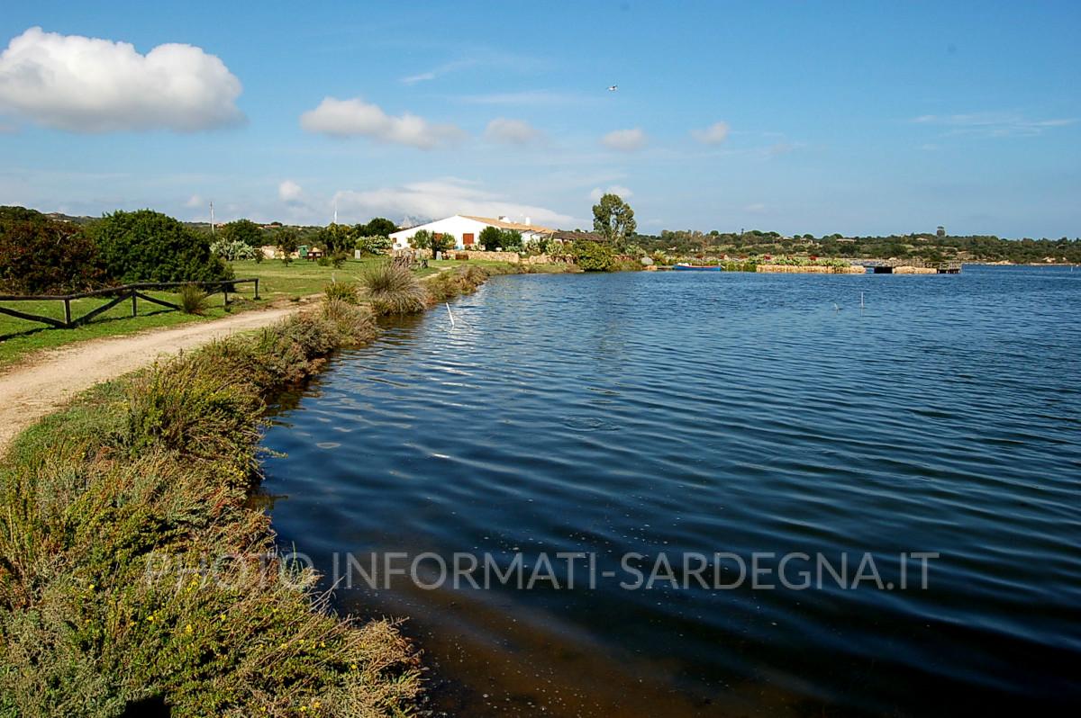 Stagno di San Teodoro