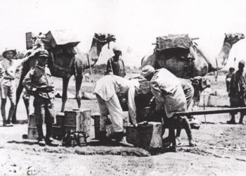 Cammelli presso Giaffa nel 1918