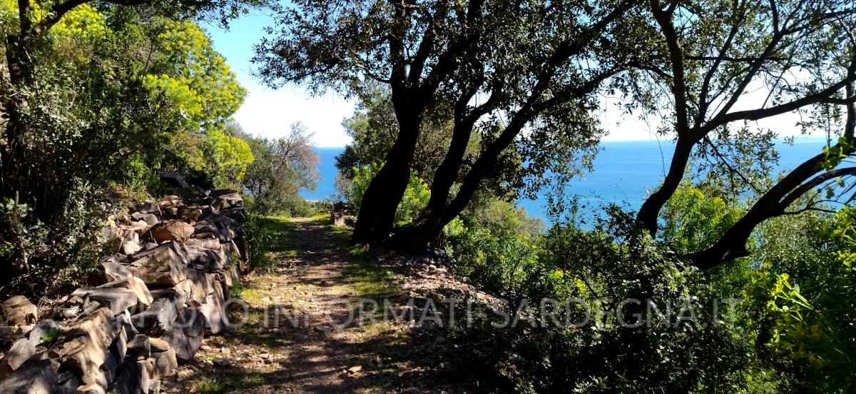 Il sentiero tra Sa Perda Stampada e il Monte Cartucceddu 