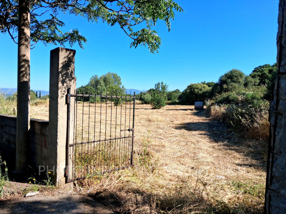 Maggio nelle campagne agricole della Sardegna