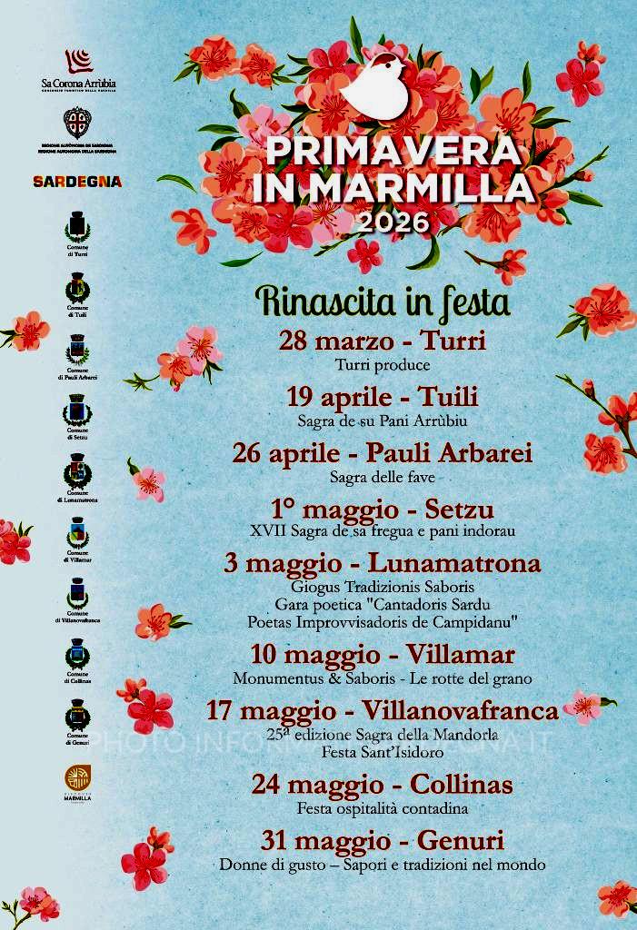 Papaver rhoeas usato in cucina tradizionale