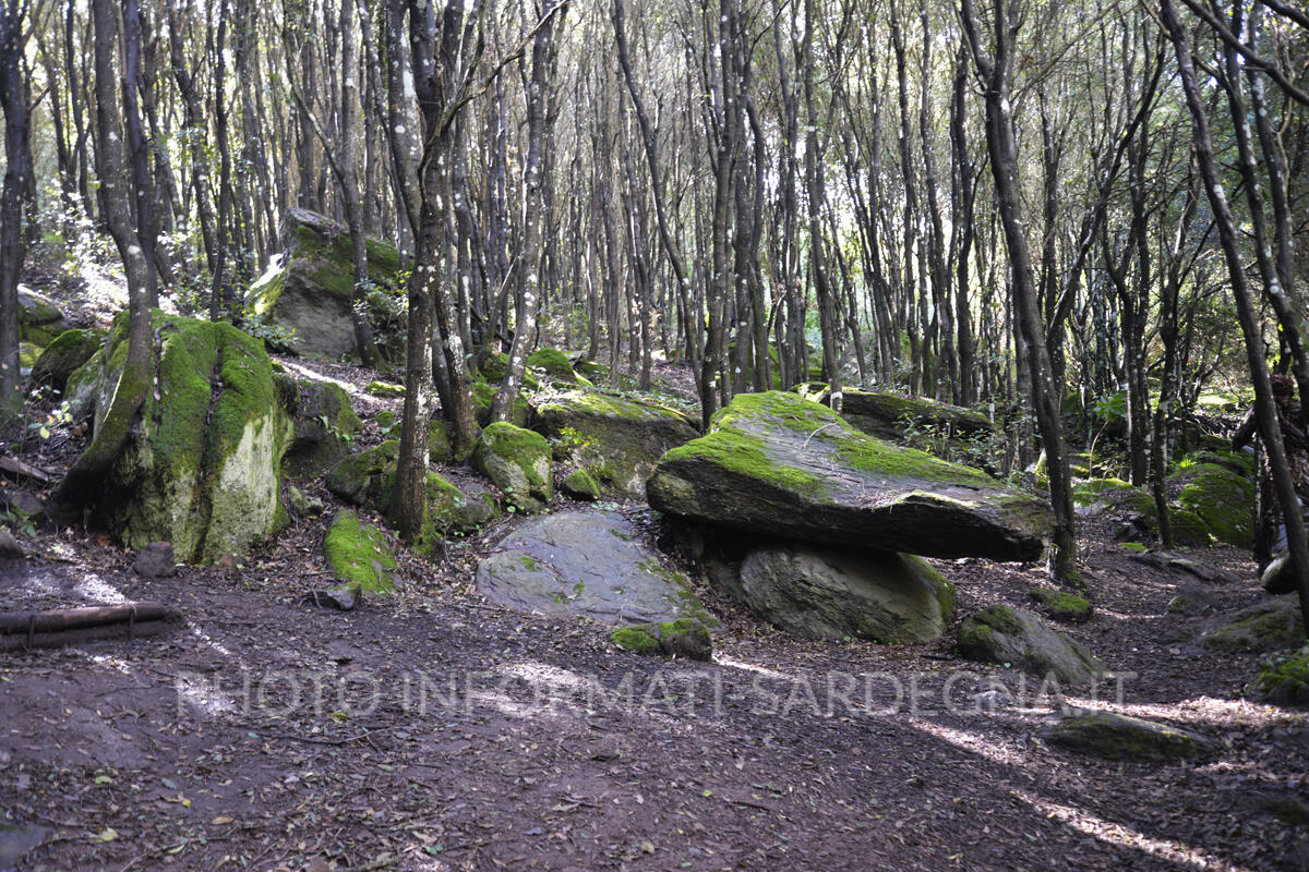 Monte Arci, Pau