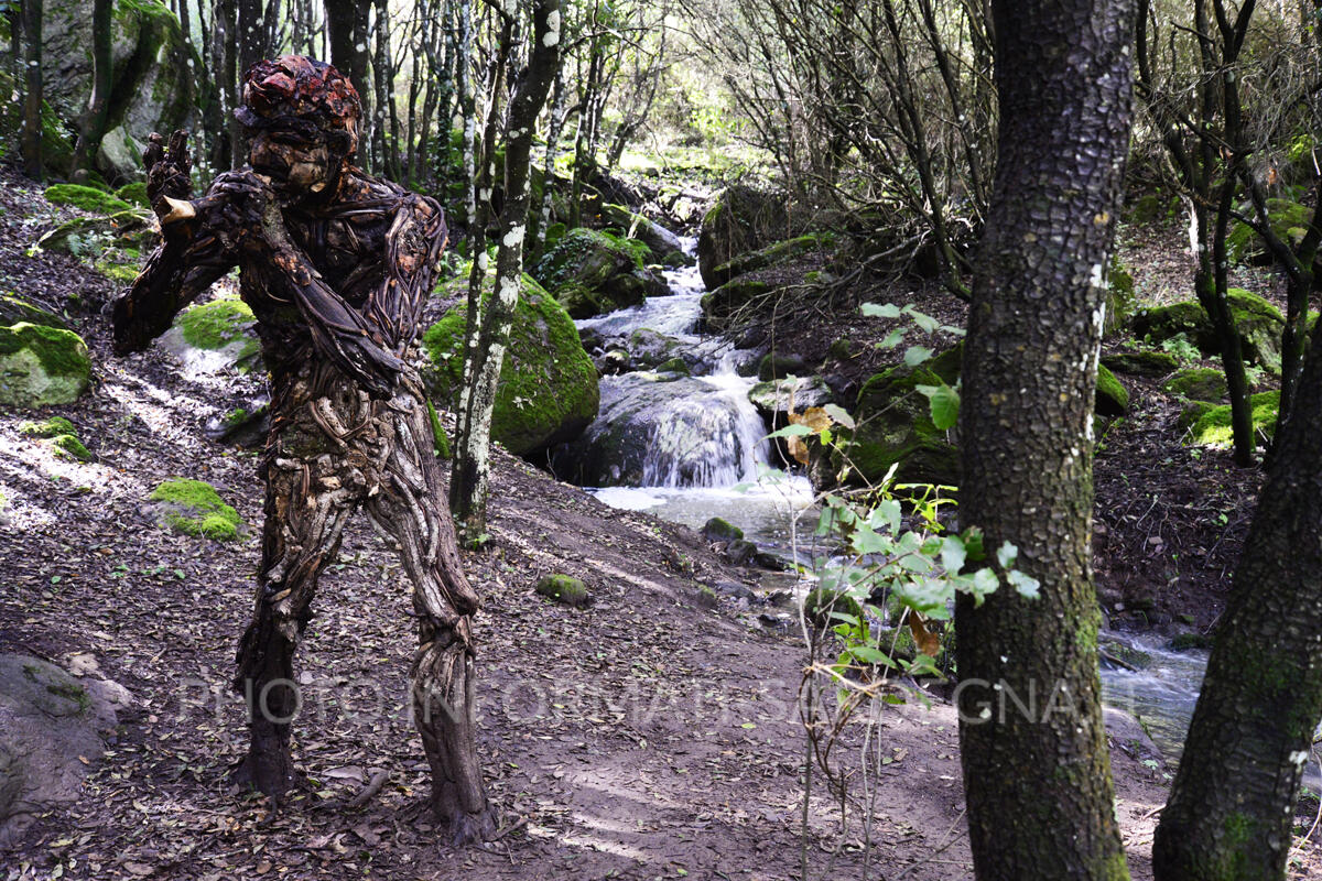 Le installazioni lignee del Bosco da fiaba di Pau