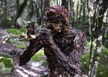 Il Bosco da fiaba di Pau
