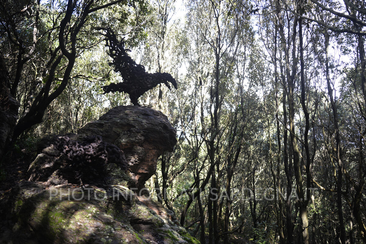 Le installazioni lignee del Bosco da fiaba di Pau