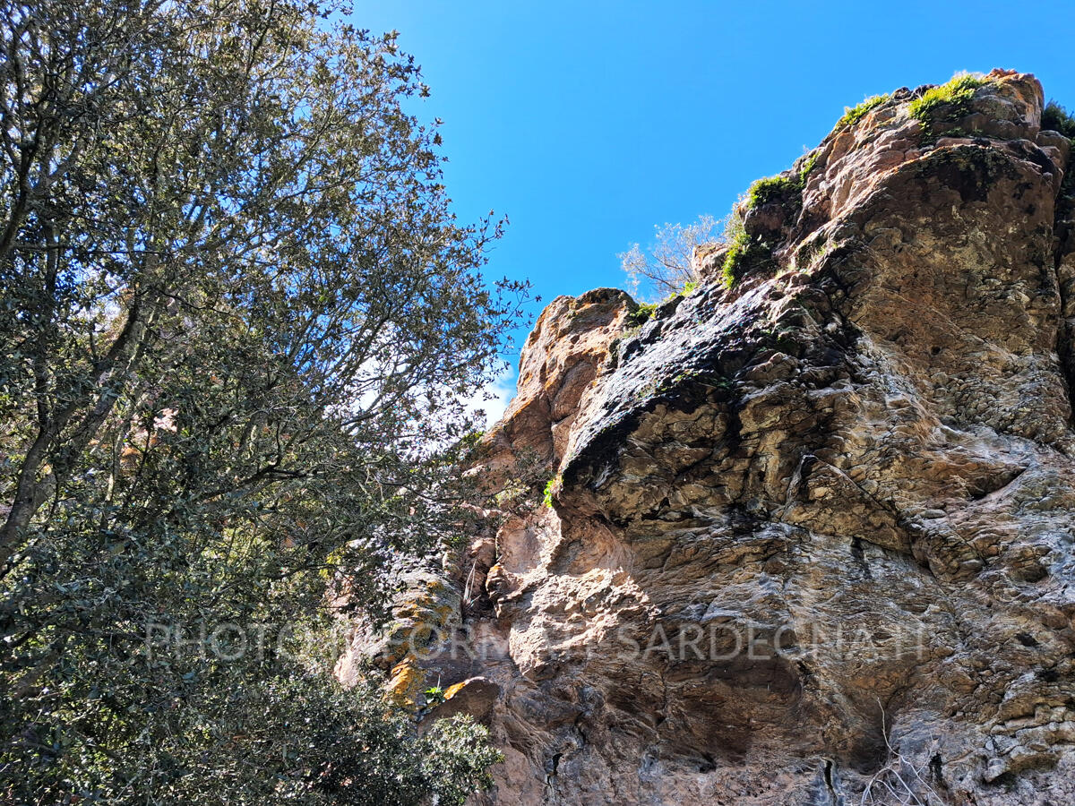 Le rocce del parco. Pau