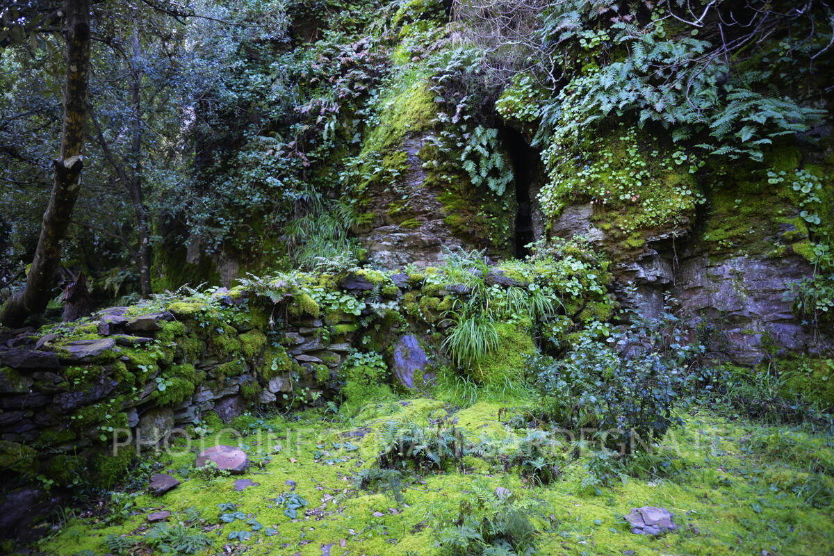 Monte Arci, Pau