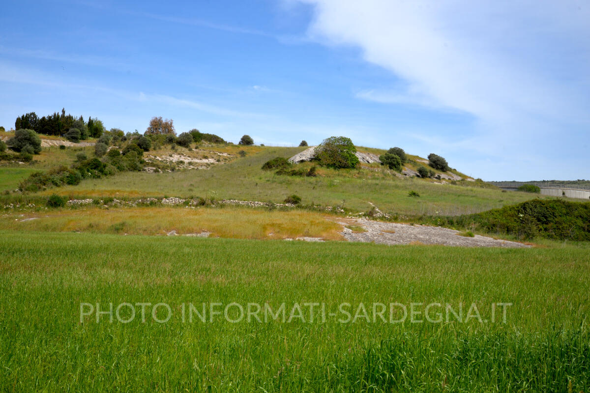 La collina di Giundali, Ittiri