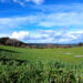 Il Belvedere dal Bosco da Fiaba di Pau