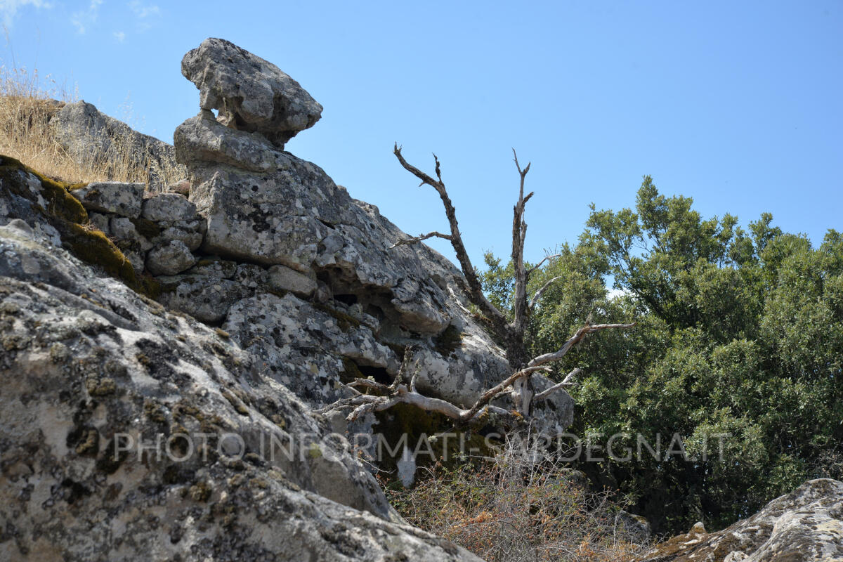 Le rocce attorno al sito. Gavoi